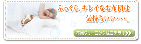 布団のクリーニングはコチラをクリック